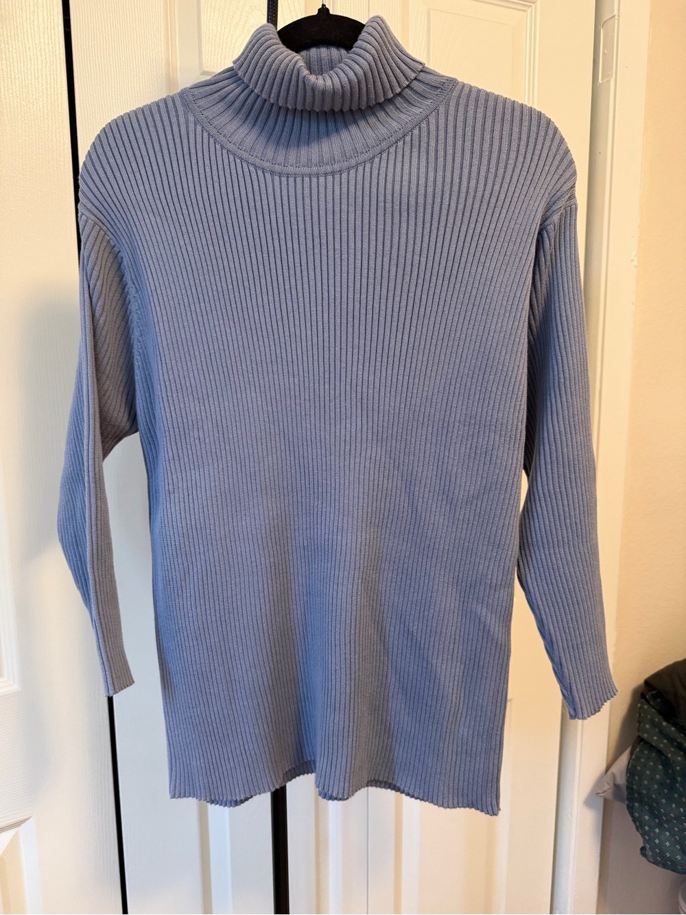 J. Jill Light Blue Ribbed Knit Sweater